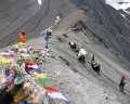 trekking in Ladakh