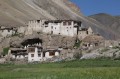 trekking in Ladakh