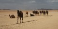 marocco deserto