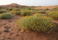 marocco deserto