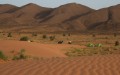 marocco deserto