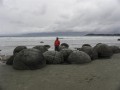MOERAKI BOULDERS
