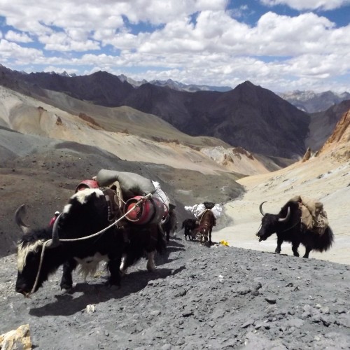 Ladakh