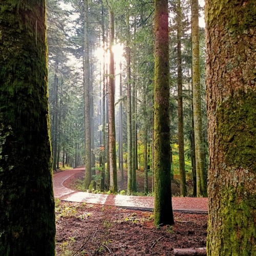 eremo camaldoli