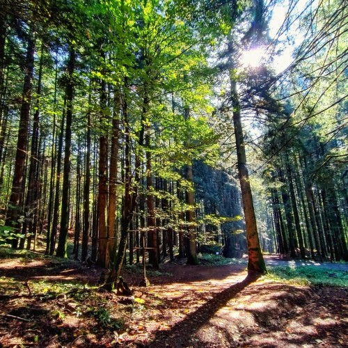 eremo camaldoli