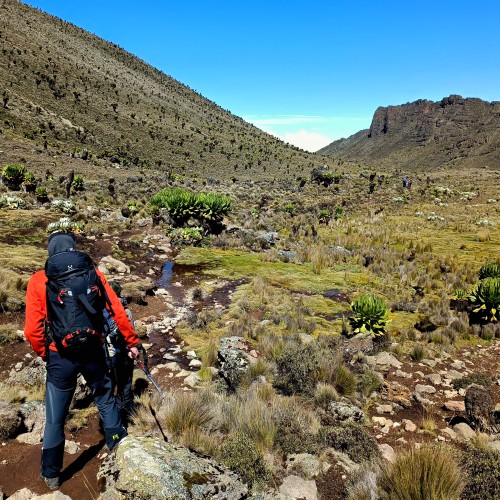 camminando per il kenya