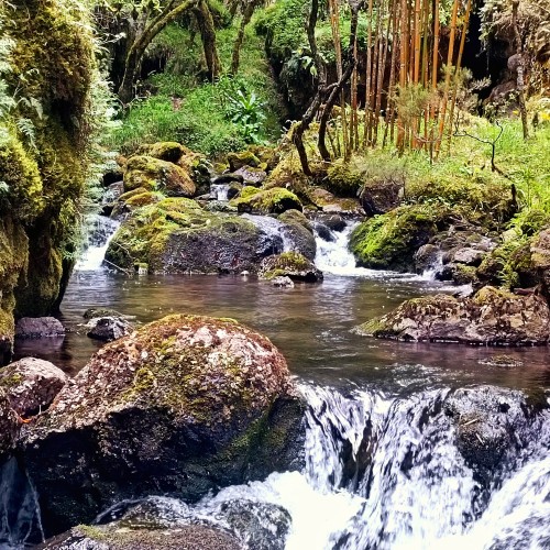 cascate campo 1