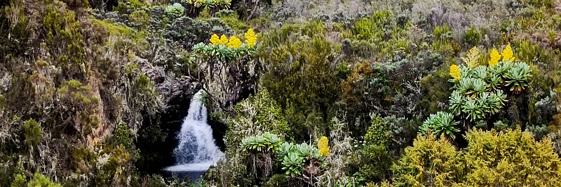 cascate kenya