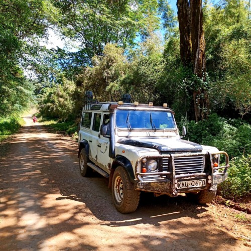 jeep foresta tic