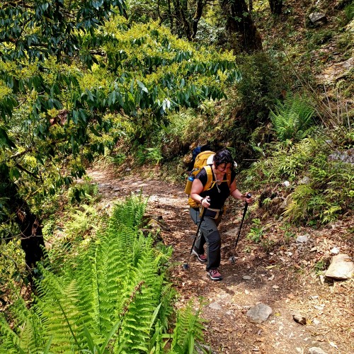 Nar Phu Valley