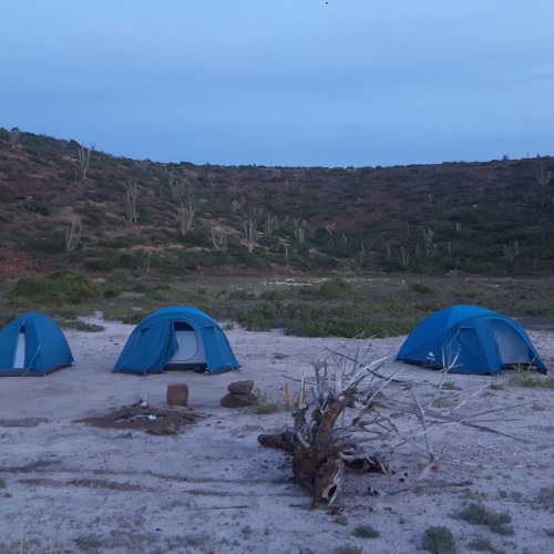 Baja california tende espiritu santo