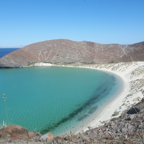Baja california playa balandra 2