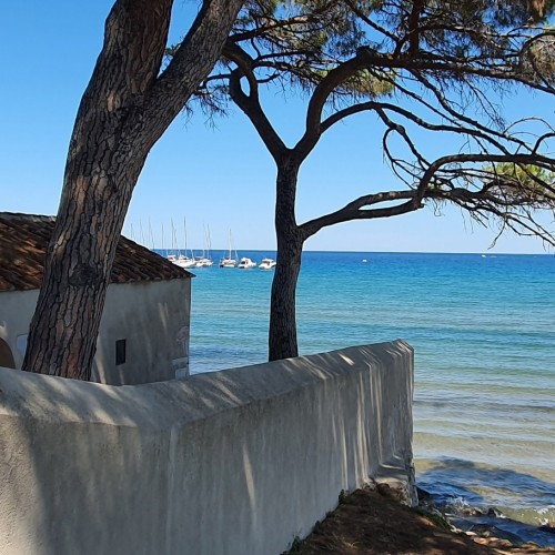 Populonia