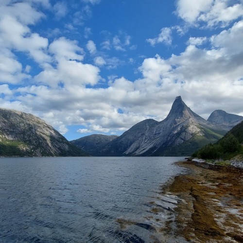 Norvegia Narvik
