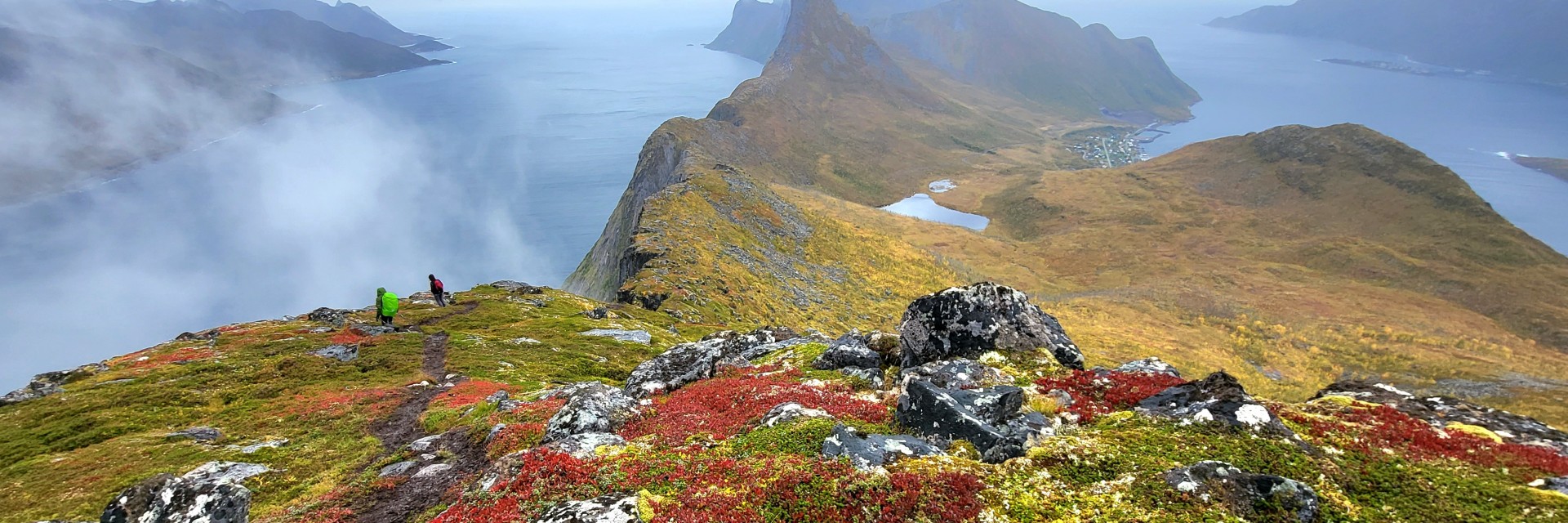 Norvegia