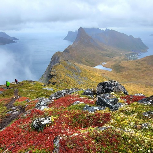 Norvegia