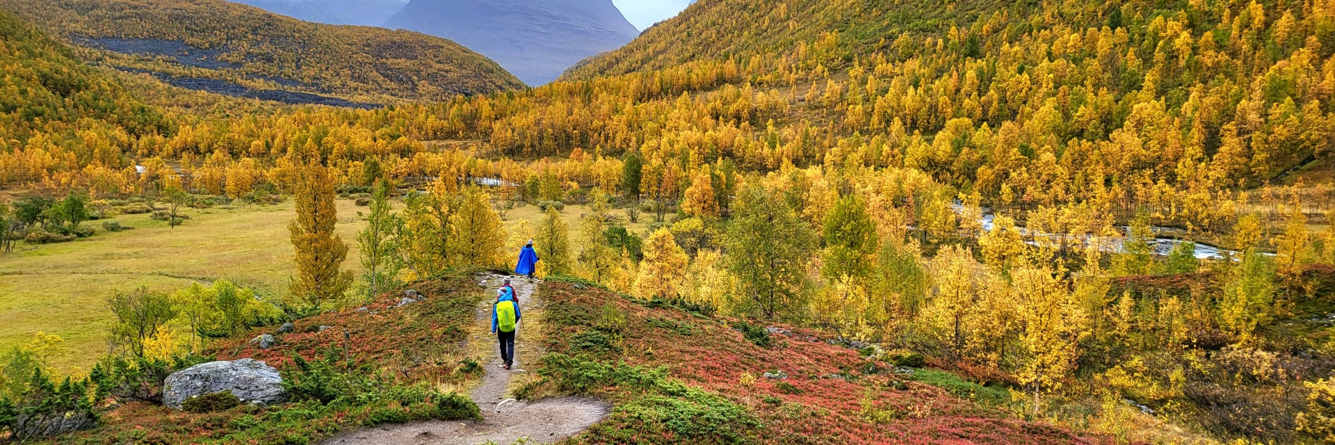 Norvegia