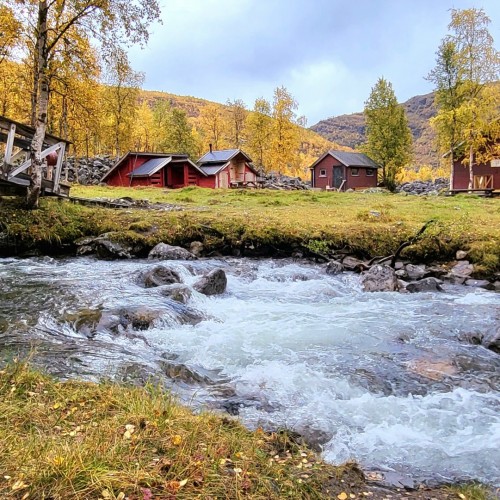 Norvegia
