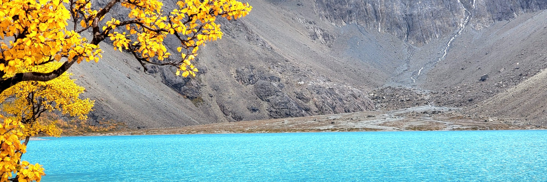Norvegia