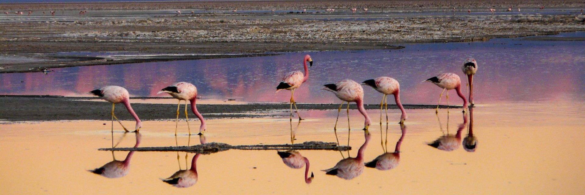 Cile&Bolivia