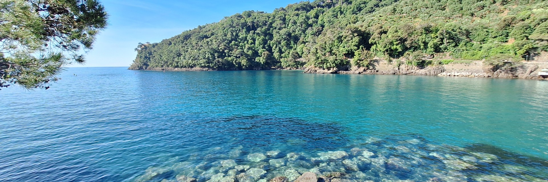 Niasca