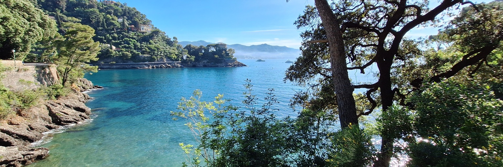 Niasca