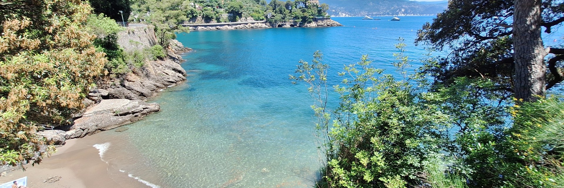 Niasca
