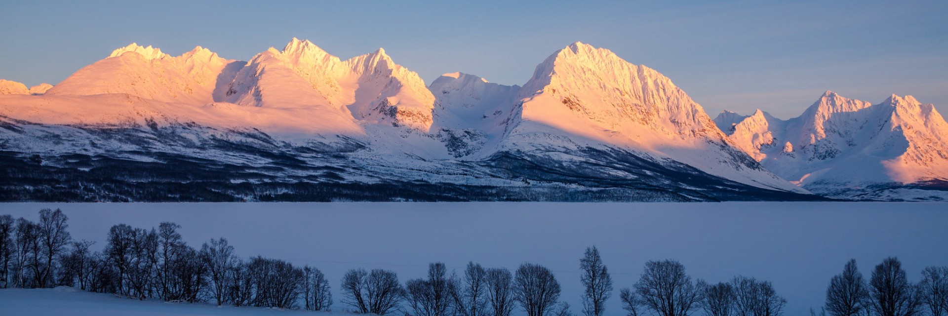 Lyngen