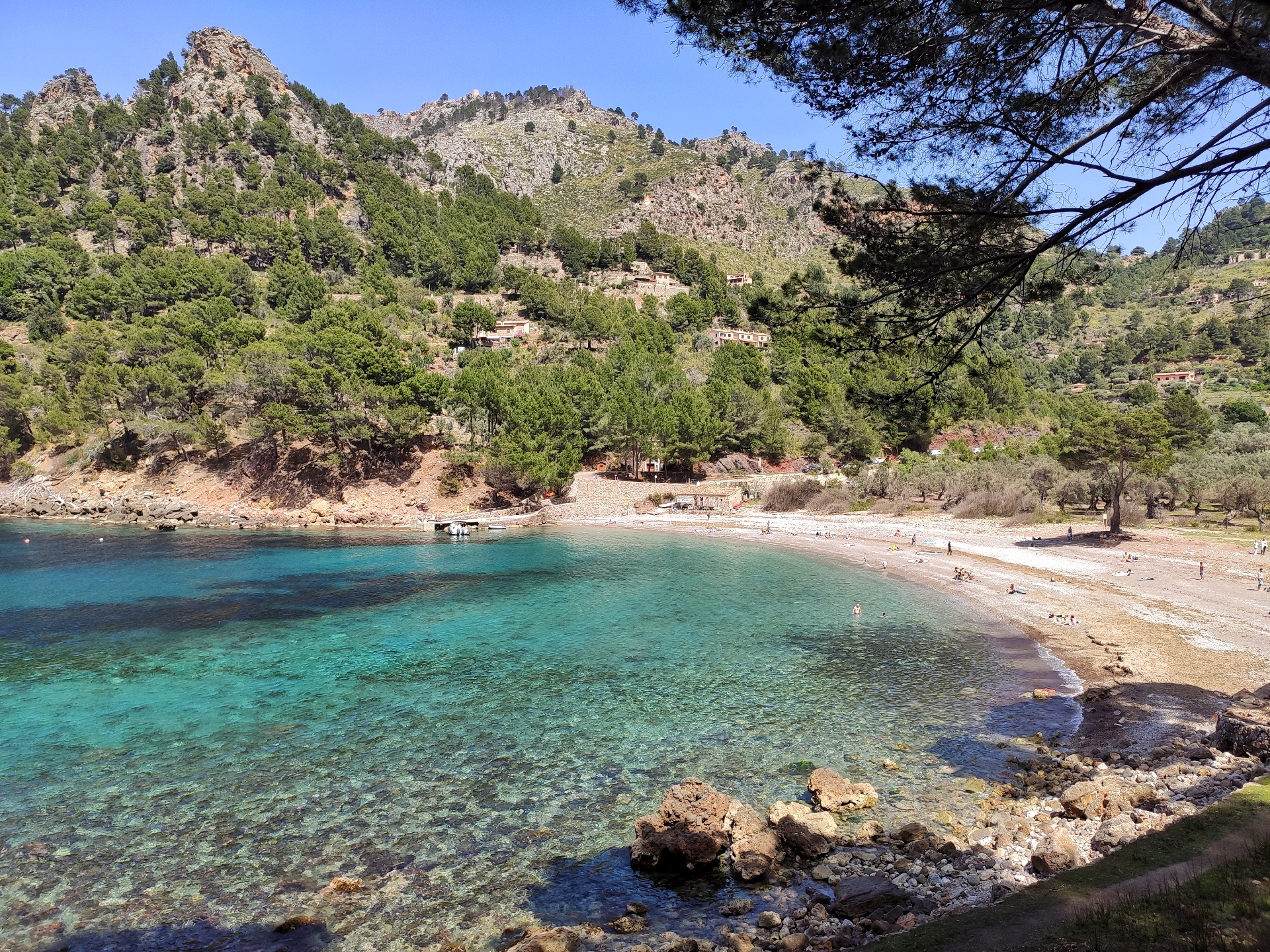 Maiorca