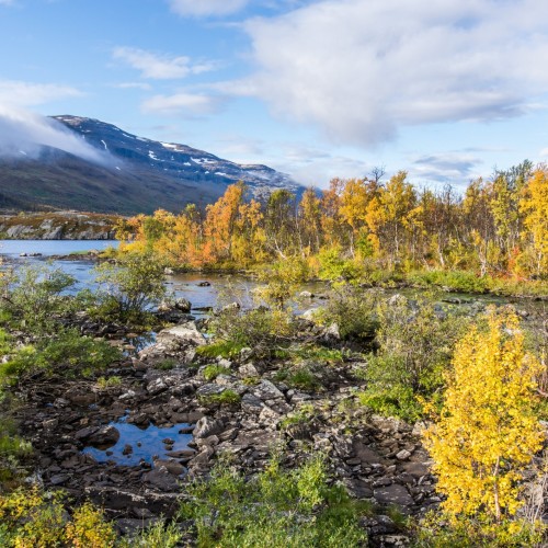 Norvegia