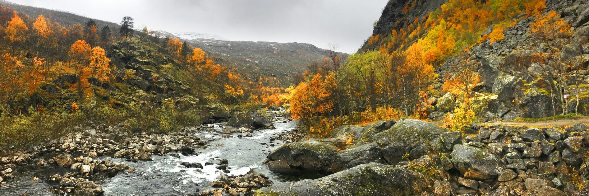 Norvegia