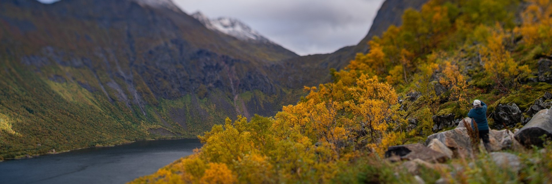 Norvegia