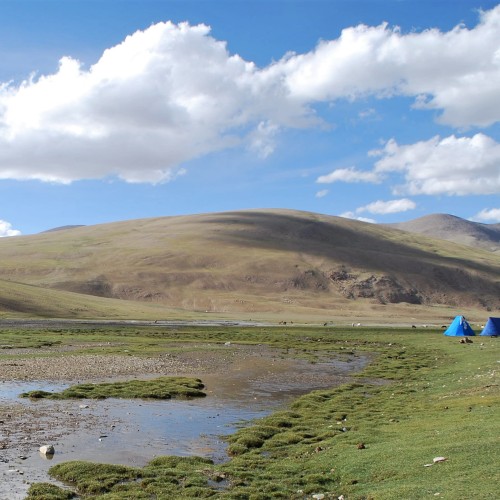 Tso Moriri Trek