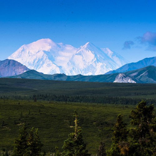 Alaska Denali 