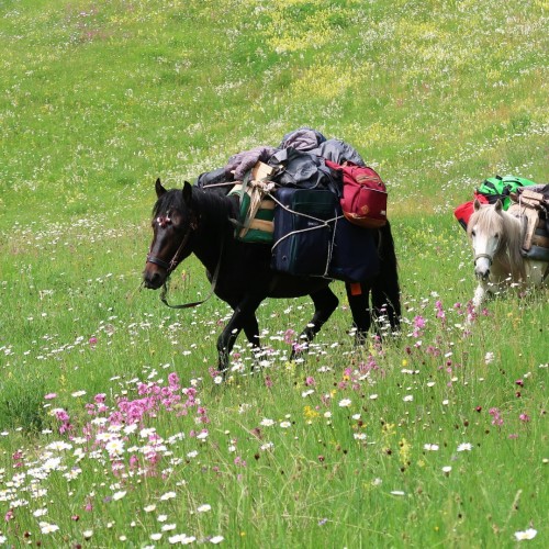 Albania