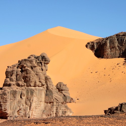Algeria 