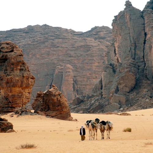 Algeria
