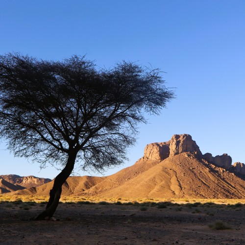 Tassili