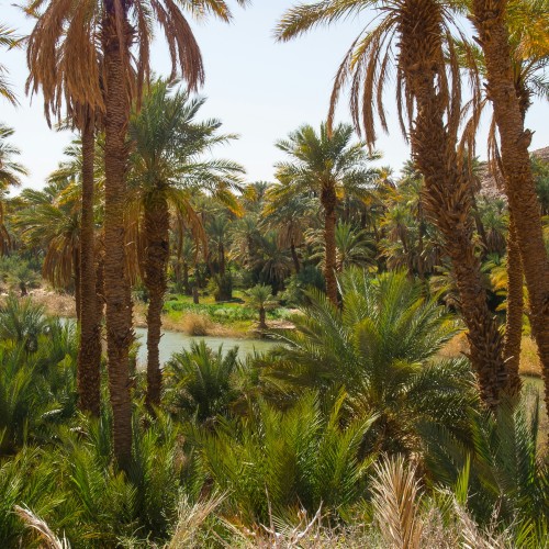 Algeria
