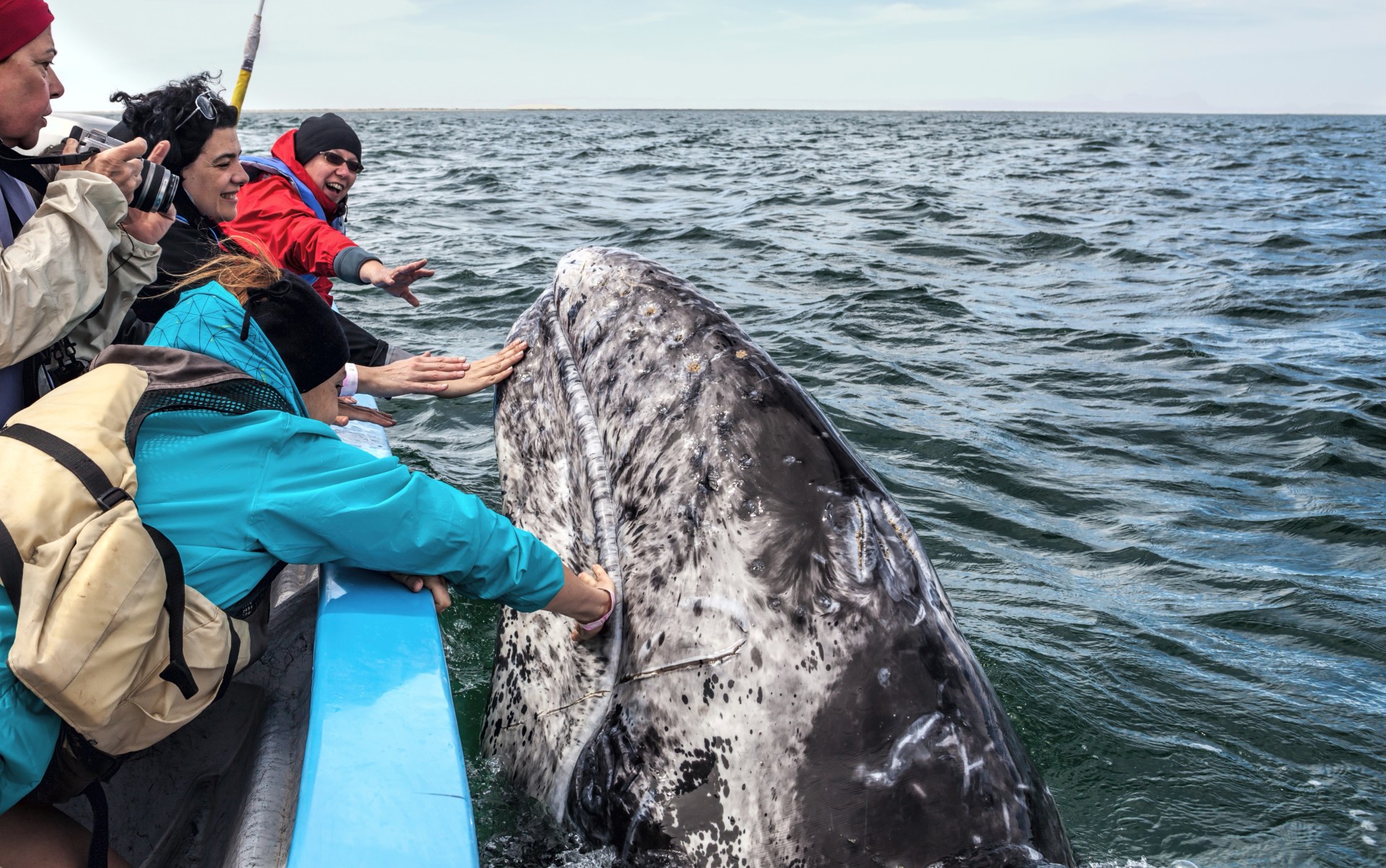 Baja California Kailas Viaggi