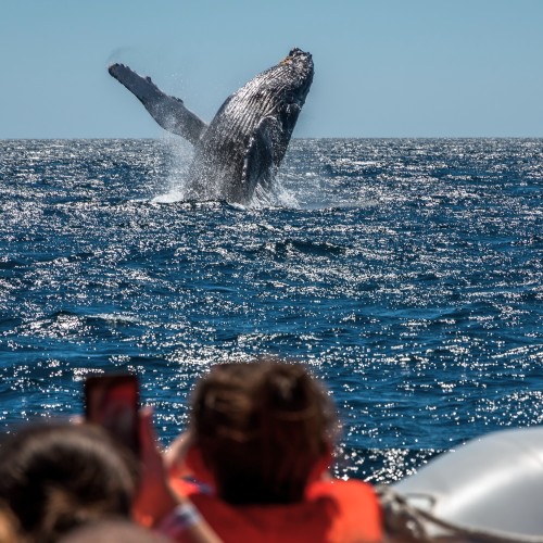 Baja California Kailas Viaggi