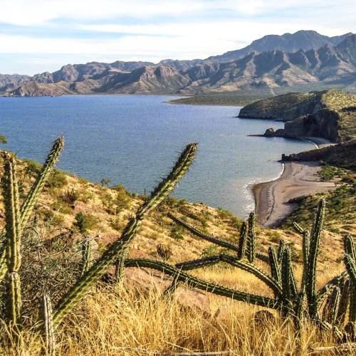 Baja California Kailas Viaggi