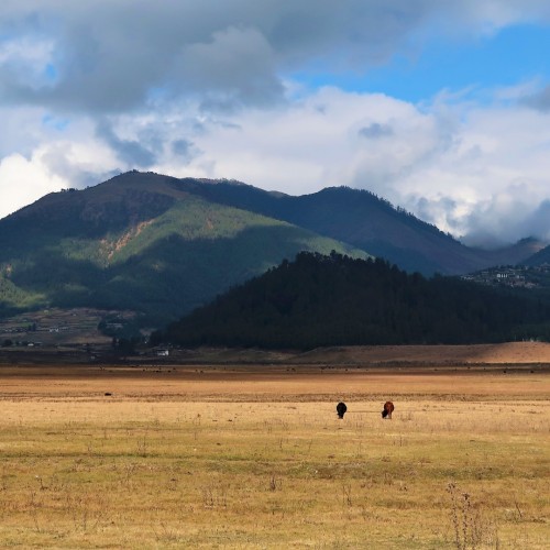 Bhutan