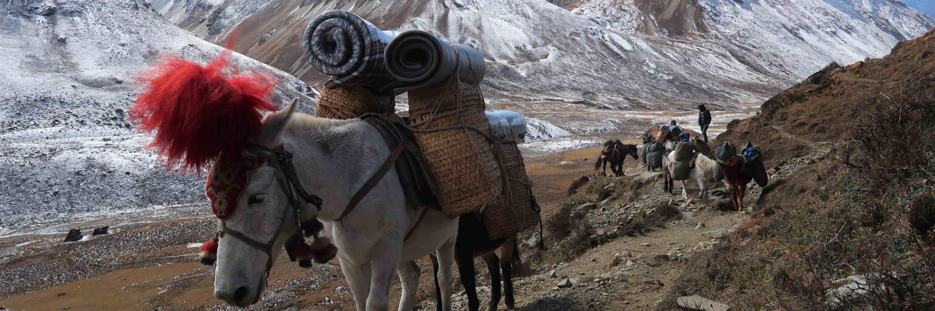 Bhutan Trek 