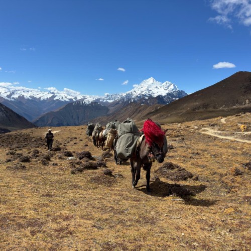 Bhutan Trekking 