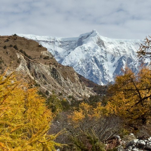 Bhutan travel gate