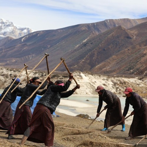 Bhutan travel gate