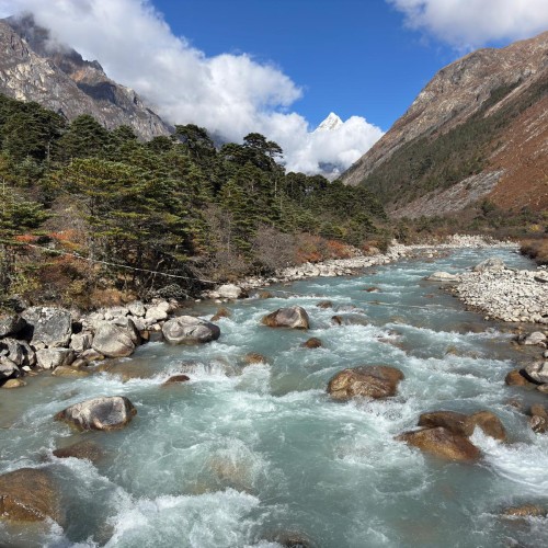 Bhutan travel gate
