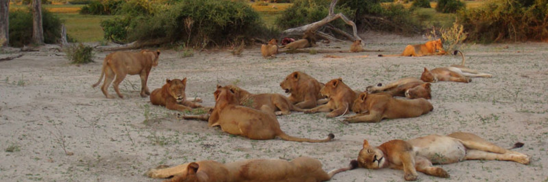 Botswana