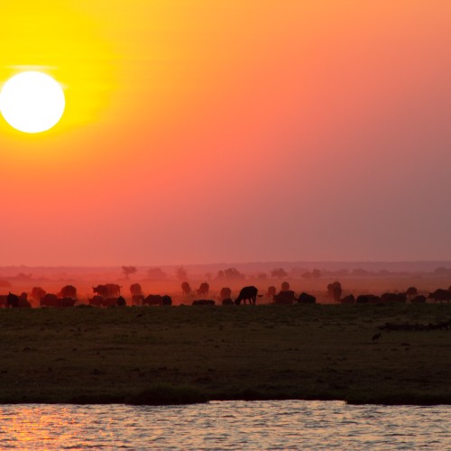 Botswana wild parks